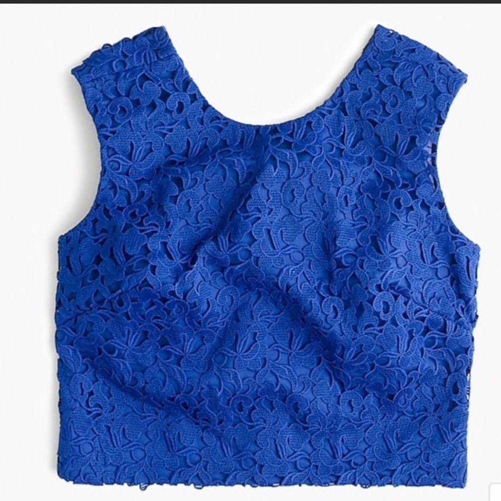 LIKE NEW JCrew Collection Lace Crop Top